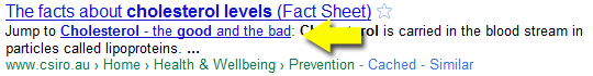google-serps-anatomy-19.jpg