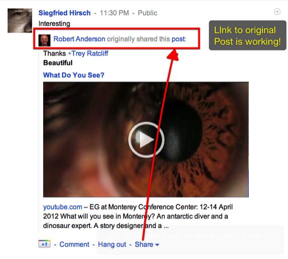 google-plus-backlinks.JPG